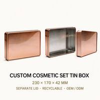 Boîte en fer blanc personnalisée pour ensemble de pinceaux avec fenêtre transparente, étui cosmétique à charnière, solution B2B, approvisionnement direct usine, OEM