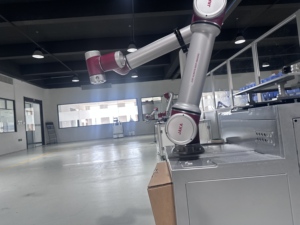 Standardized Machine Tool Loading Unloading Unit Automation Finished Part End Effectors Cnc Robot Arm With Collection <b>Bin</b> - Product Image 3