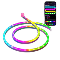Lampu Strip LED Neon Pintar RGBIC Sinkronisasi Musik Kontrol Jarak Jauh APP 5V USB Aman IP67 3535 IC Dekorasi Ruangan Lampu Latar Gaming