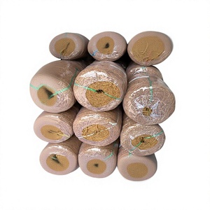 Choix Privilégié HNIECO 100% Fibre de Coco Brute Biologique Matière Première Écologique Naturelle pour Meubles et Artisanat OEM Fabriqué au Vietnam - Product Image 1