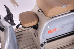 Haute qualité 48V/60V Tricycle électrique cyclomoteur adulte corps ouvert vélo électrique usine de gros - Product Image 5