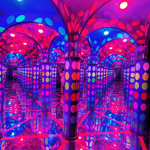 Sân chơi trong nhà thu hút thiết bị công viên gương Mê Cung trò chơi mê cung để bán trong trung tâm mua sắm - Product Image 6