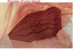 Secagem Equipamento Animal Blood Dryer Máquina Converter Sangue de Porco Cru em Flocos e Pó de Vaca Sangue Spray Dryer - Product Image 2