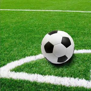 Indoor Outdoor Decor Realistic Synthetic Mat Large Turf Outdoor Garden Landscape Rug Patio Artificial Turf Grass Lawn - Product Image 3