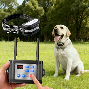 Sistema de valla electrónica para perro mascota con antena doble impermeable recargable para entrenamiento de perros Collar de entrenamiento de perros con valla inalámbrica 2 en 1 - Product Image 6
