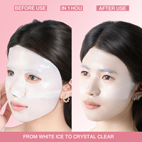 Masques en tissu bio-collagène, masques en hydrogel, masques de nuit