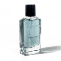 Flacon en verre unique de 100 ml, conteneur cosmétique rectangulaire, flacon de parfum pour voiture, atomiseur, vaporisateur de parfum