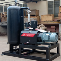 Bomba de Vacío de Garra Seca de Una Etapa TXC-250, 250-300m³/h, Sin Aceite, para la Industria Química y Petroquímica, Fabricada en China