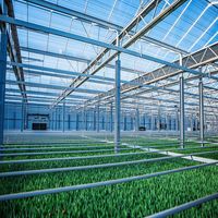 Kit complet de serre agricole multi-chapelles commerciale de grande taille avec structure en acier galvanisé à chaud par technique ERW et film PE
