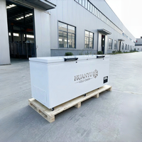 Congélateur horizontal commercial à ouverture par le haut, grande capacité, congélateur profond, certifié CE/CB, fabrication OEM