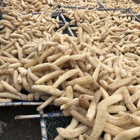 Éponge naturelle en loofah à forte absorption d'eau, chiffon de nettoyage pour la vaisselle et les casseroles, tampon à récurer polyvalent, serviette de nettoyage ménagère