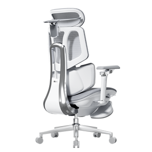 Hbada X7 Ergonomischer Bürostuhl mit Netzrücken, Aluminiumfüßen, Höhenverstellbar, Omni-Direktional, Atmungsaktiv – Jetzt im Angebot - Product Image 5