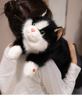 Peluche chaton Ragdoll rembourrée en coton PP, 31-50 cm, Meows ODM, pour les 14 ans et plus, cadeau pour filles