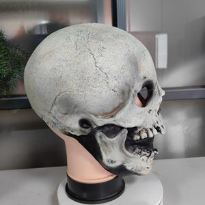 Máscara de Calavera de Terror, de Látex, para Cosplay, Fiesta de Halloween, Estilo Terrorífico, Material de Emulsión - Product Image 4
