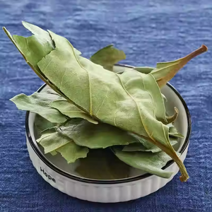 Daun Kesemek Kering Harga Pabrik Shi Zi Ye, Daun Teh Herbal Cina, Daun Kesemek Kering