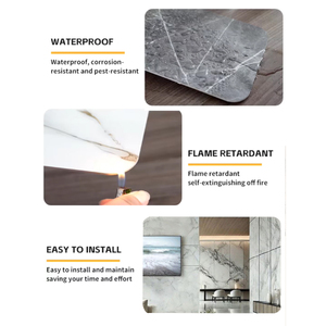 Pannello Murale in PVC Effetto Marmo Impermeabile con Protezione UV - Catena di Approvvigionamento Gestita per Ristrutturazioni Commerciali Rapide - Product Image 5