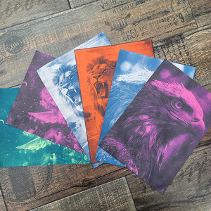 Papier cyanotype blanc A4 original le plus vendu, papier d'impression sensible à la lumière, motif animal, vente directe fabricant - Product Image 1