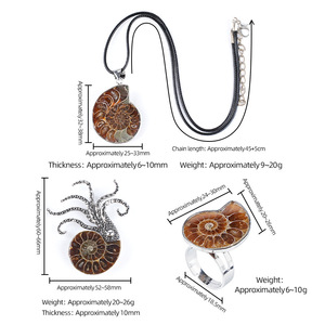Anelli, Spille e Collane Artigianali all'Ingrosso con Fossili Naturali di Conchiglia e Ammonite per Regali da Donna per Feste, Anniversari e Matrimoni - Product Image 3