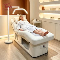 Table de massage électrique de luxe à 2 moteurs pour salon de beauté, avec matelas hydroélectrique rempli d'eau – Offre spéciale