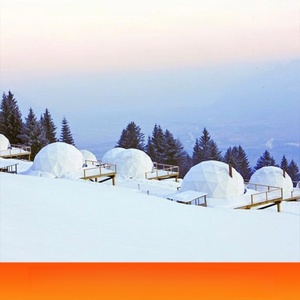 Carpa domo para 6-8 personas, doble capa, resistente a la nieve, para las cuatro estaciones, carpa de lujo para exteriores con impermeabilidad de 2000-3000 mm para acampar - Product Image 4