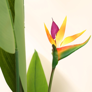 STD-TTN Hete Verkoop Op Maat Gemaakte Vervalste Tropische Palmboom Real Touch Kunstmatige Paradijsvogel Plant Voor Thuis Indoor Outdoor Decor - Product Image 5