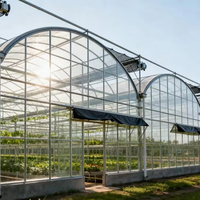 Serre Multispan agricole commerciale à faible coût avec système hydroponique de qualité supérieure rentable à vendre