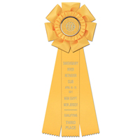 Rubans de satin à logo personnalisé pour mariage et anniversaire Prix de rosette plissée à volants pour passe-temps