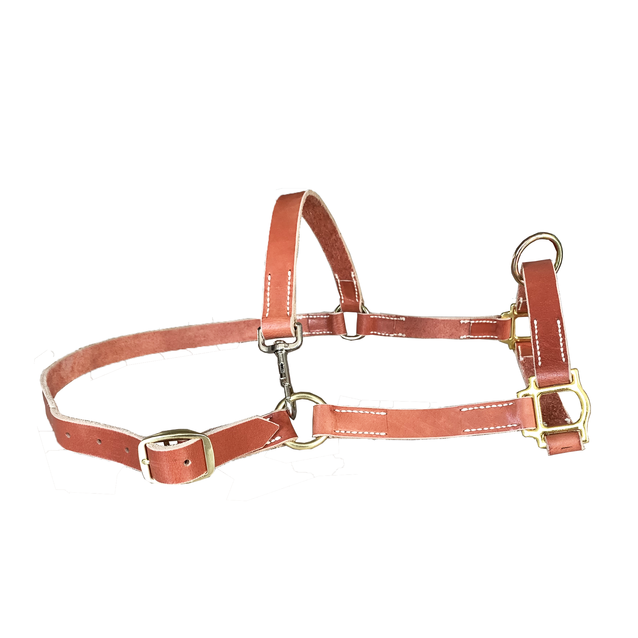 ตามภาพที่แสดง