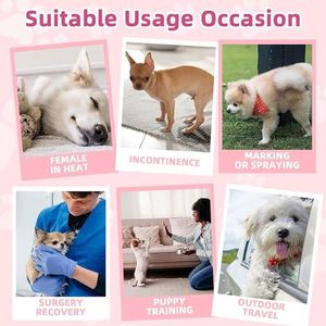 (S, 10 pièces) Couches jetables super absorbantes pour chien, pour chienes en période de chaleur, pour l'excitation et l'urination, et comme culottes anti-intimidation - Product Image 3