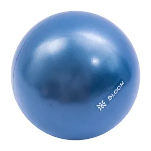 Yoga Exercise PVC 20cm 30cm Custom Small Mini Pilates Gym Fitness Stability Ball With Logo
