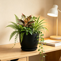 Jardinières d'intérieur modernes en plastique durable de 3,9 pouces, ensemble décoratif pour la maison et le jardin avec trou de drainage, pots de fleurs