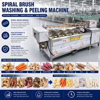 Machine de lavage et de pelage à rouleaux brosse pour le traitement des légumes-racines (pommes de terre, manioc, carottes, gingembre, patates douces) en acier inoxydable