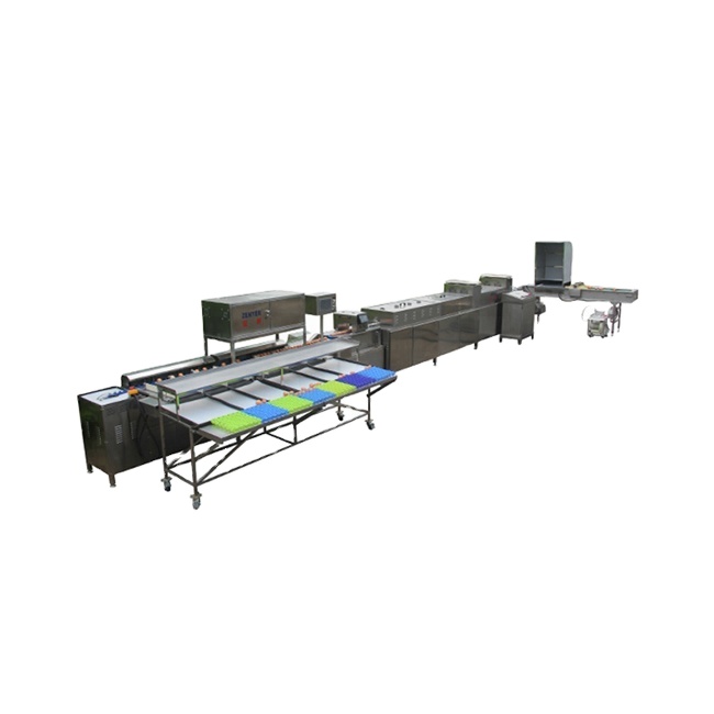 2021 яйцо для мытья сортировки упаковка автоматическая машина для сортировки по цвету