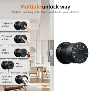 Professional Bedroom Smart <strong>Door</strong> <strong>Knobs</strong> Lock Electronic Fingerprint &amp; Remote Entry Aluminum Alloy Digital Lock for Wood <strong>Door</strong> - Product Image 4