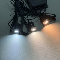 Mini spot LED pour armoire DC12V 0.7W, angle de faisceau 35°, Ra95, 60-70lm, rouge, bleu, vert, 3000K, 4000K, 6000K, pour affichage