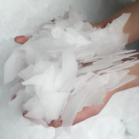Les hôtels ou supermarchés à fort volume de clients utilisent des machines à glace en flocons de 100 kg, des fabricants de glace de haute qualité
