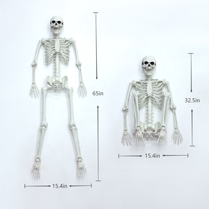Model Kerangka Halloween Lintas Batas untuk Dekorasi Pesta Taman, Perlengkapan Rumah Hantu, Kerangka Plastik 165cm - Product Image 6