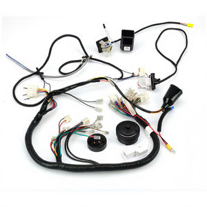 Arnés de Cableado Personalizado Emtron FuelTech Haltech <span class=keywords><strong>Motec</strong></span>, Recubierto de Estaño, Aislado con PVC, Nuevo, para un Rendimiento Automotriz Mejorado - Product Image 3