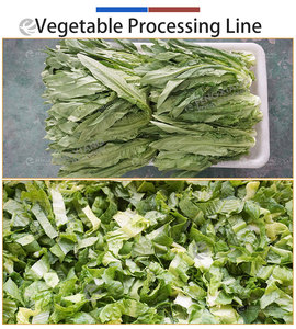 Solution de traitement des légumes fraîchement coupés pour usine alimentaire 1-3T – Machine personnalisée de tri, lavage, découpe, séchage et emballage des légumes - Product Image 3