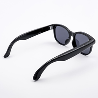 Lunettes Intelligentes IA WK105 2026 à Succès avec Caméra POV 8MP, Verres Polarisés, Enregistrement Vidéo et Traduction IA