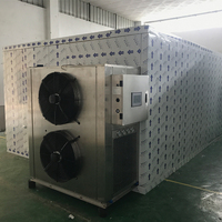 Mango Chips Dehydrateren Machine Professionele Fruit Droger Machine Dehydrator