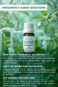 100% Pure Turkish Peppermint Essential <b>Oil</b> Mentha Piperita Steam Distilled Wholesale Private Label OEM for <b>Diffuser</b> Hair Scalp - Product Image 6