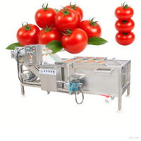 Automatische Saffraanreinigingsmachine Kruidenwasapparatuur
