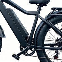 Bicicleta Eléctrica Compacta para Uso Diario, 350W 48V 10.4AH, E-bike de Fábrica China para Paseos por la Playa
