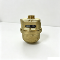 ISO 4064 Class C DN20 Multi-Jet Volumetric Dry Water Meter Brass Body Stainless Steel OEM High Accuracy