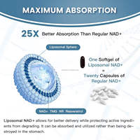 Capsules de Resvératrol Nicotinamide Riboside NAD pur prix de gros booster compléments alimentaires capsules NAD