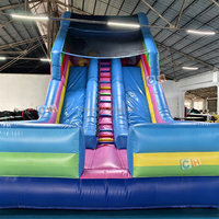 Toboggan gonflable commercial extérieur personnalisé pour enfants, toboggan double gonflable pour enfants, grand toboggan gonflable de dessin animé