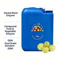 Extrait Liquide d'Enzyme Emblica (Phyllanthus Emblica) Fermenté, Matière Première, 25kg, Vrac