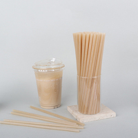 Pailles à boire jetables en agave, compostables, écologiques, à base de plantes, imperméables, biodégradables, pour les fêtes