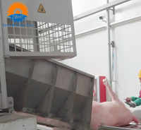 Équipement d'abattage de porcs : Étourdisseur électrique à trois points en acier inoxydable, machine d'étourdissement automatique avec supports pour tête, cœur et ventre